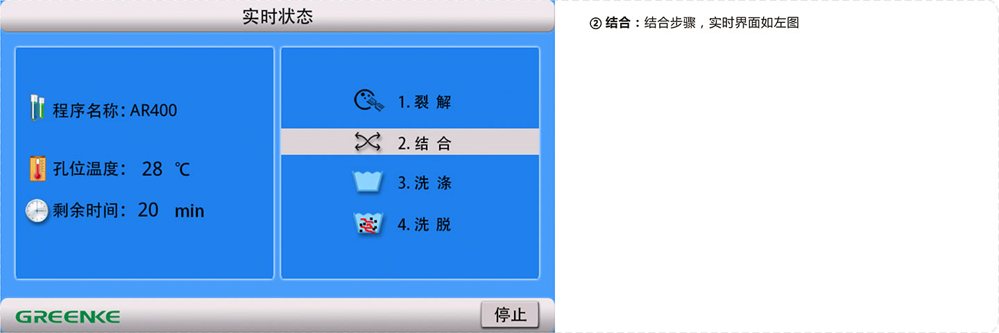 全自动核酸提取仪器-核酸提取结合步骤.jpg